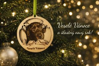 Vánoce pomalu doznívají… ✨ a my vám chceme poděkovat za důvěru, podporu a každou objednávku. 🤍 Do nového roku přejeme...